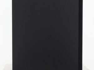 Dynaudio Emit 20 Standmount Speakers - Black - Image 10